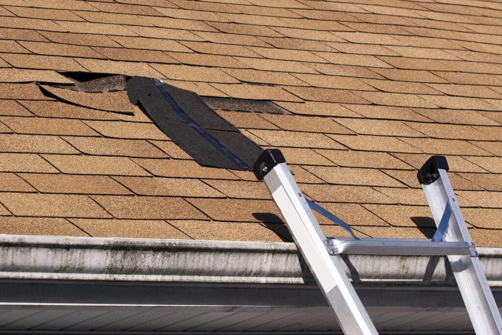 Roof Solutions
