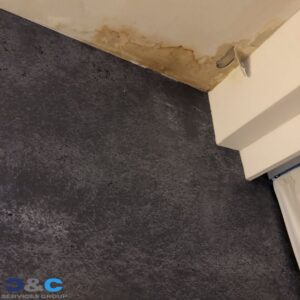 Roof Leaks